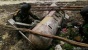 Benda Seperti Torpedo Ditemukan di Desa Pegudang Bintan